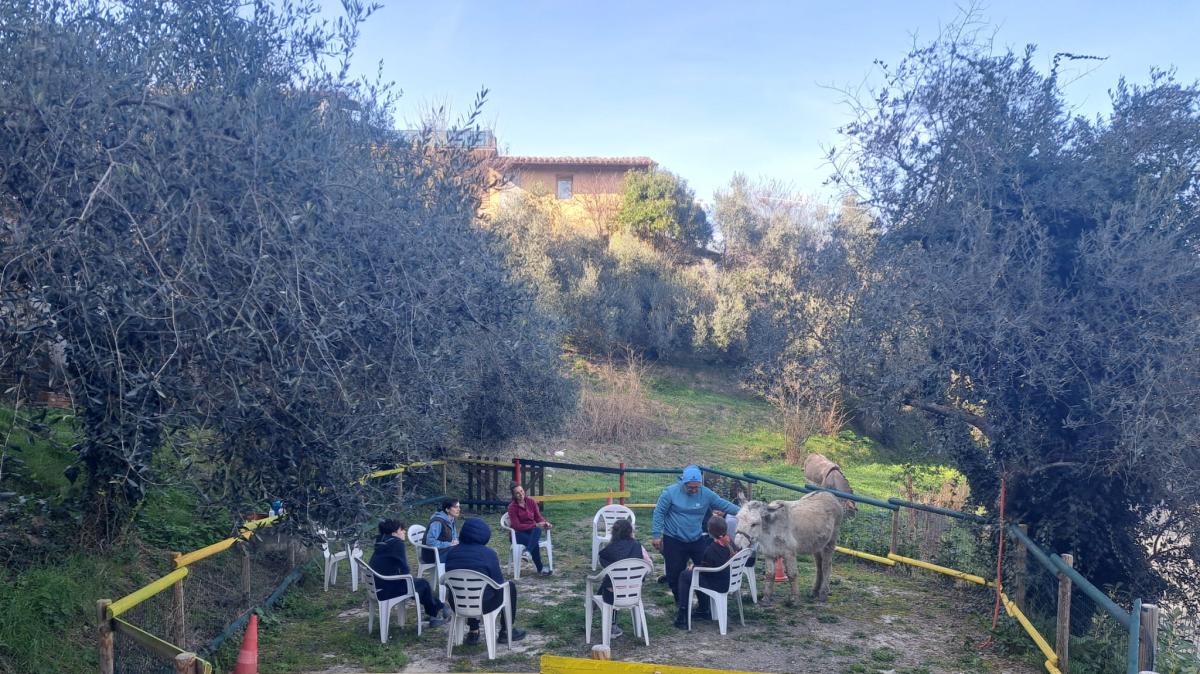 Avviato a Perugia il progetto che vede asini e cavalli a supporto di adolescenti con disturbo da deficit di attenzione e iperattività 