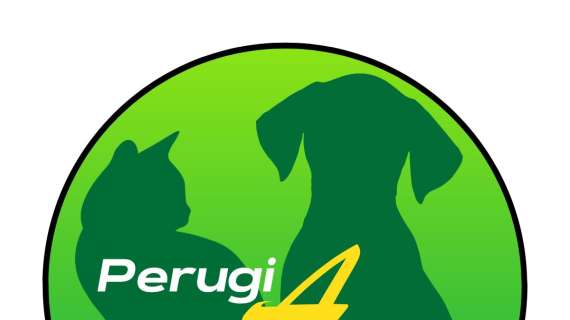 Una nuova lista alle Comunali: c'è anche "Perugia Amica" per il "benessere degli animali d'affezione"