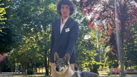 Glyphis una fantastica femmina di cane lupo! Tante emozioni a Città di Castello anche per altri esemplari