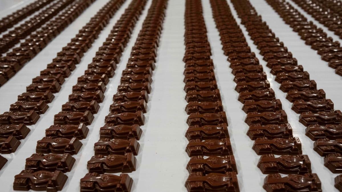 Da San Sisto alle piste di Formula Uno di tutto il mondo: un nuovo prodotto da distribuire nei 12 gran premi del 2026