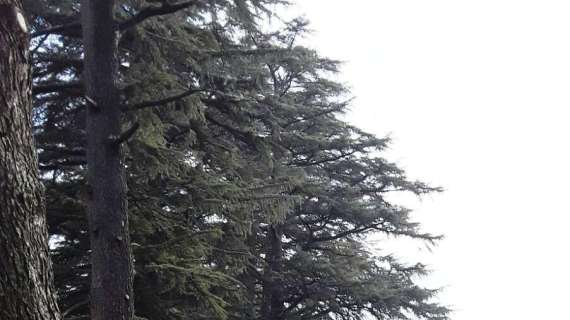 Corsa campestre di Orvieto: ordine di arrivo maschile nel segno di Lorenzo...