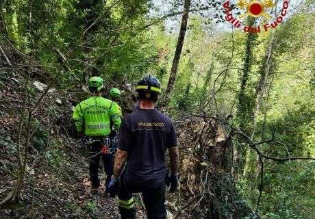 Tragedia nel bosco: muore a 74 anni schiacciato dalla caduta di quercia
