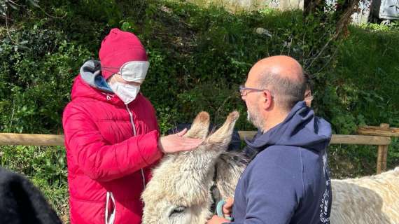 "Baldo&Riccia": a Perugia un nuovo centro specializzato in pet therapy