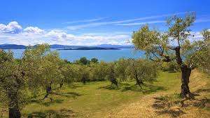 Tiene banco il "buco" dell'ex Comunità Montana del Trasimeno: chi paga i debiti?