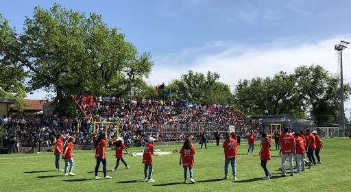 Da oggi a domenica a Santa Sabina c'è la Star Cup di calcio a 5: sono 124 le squadre partecipanti