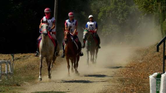 L'endurance equestre torna protagonista a Città di Castello: appuntamento il 31 maggio e primo giugno