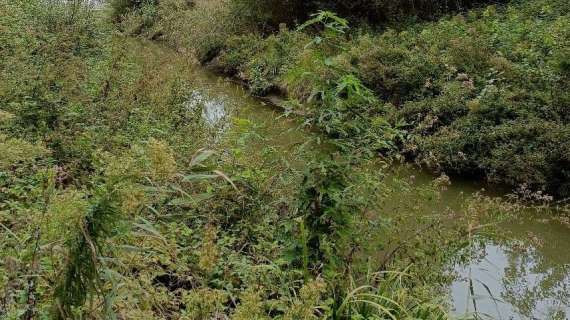 Dell'Acqua al Trasimeno: il commissario in visita per conoscere le problematiche del lago 