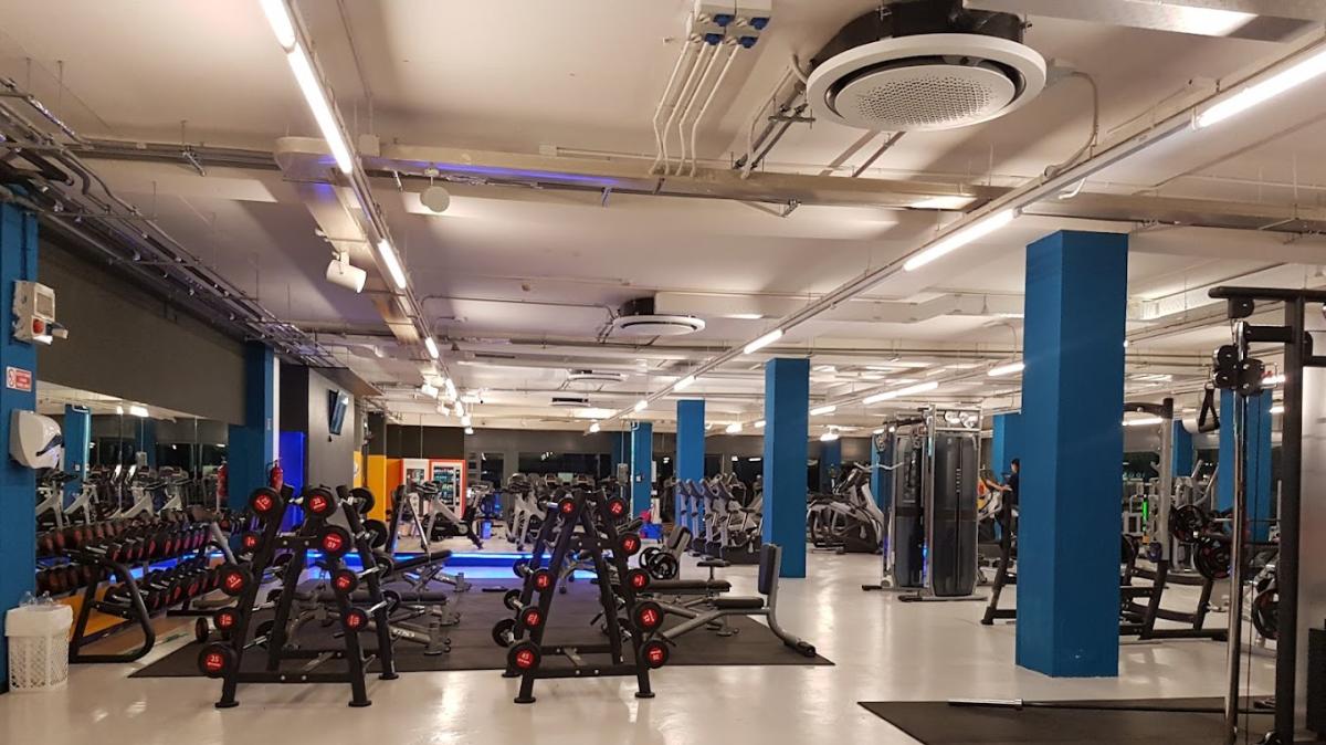 Palestre GimFive di Perugia, Ellera e Foligno? Ecco la nuova proposta al clienti dal proprietari di GreenTheory