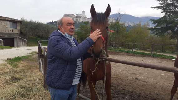 La scuderia di Sergio Carfagna invoca la protezione di san Francesco
