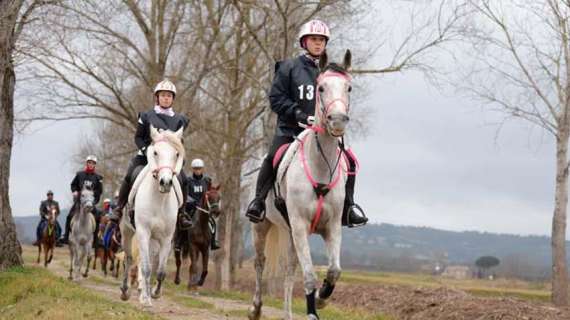 Torna l'endurance equestre in Umbria: appuntamento domenica con cinque gare