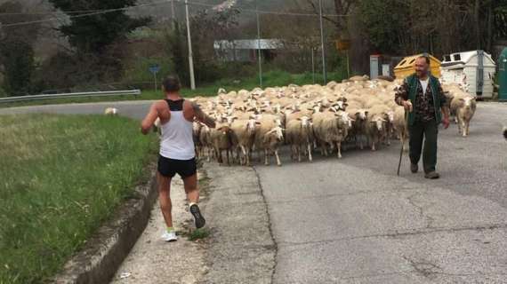Che esperienza per Stefano! Terzo a Rieti nella 50 km di corsa sfidando anche un gregge di pecore!