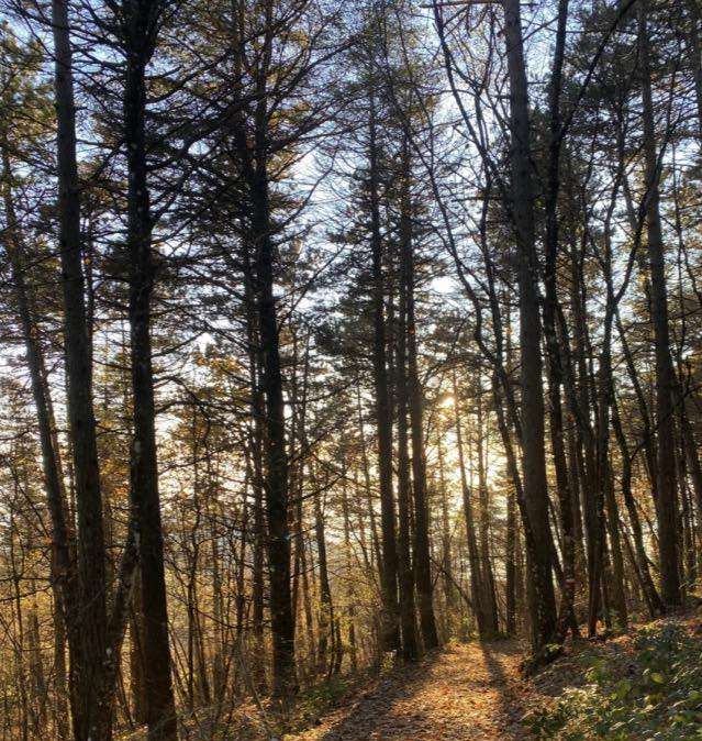 A Collepino di Spello il 17 maggio tornerà l'appuntamento con il "Subasio Crossing"