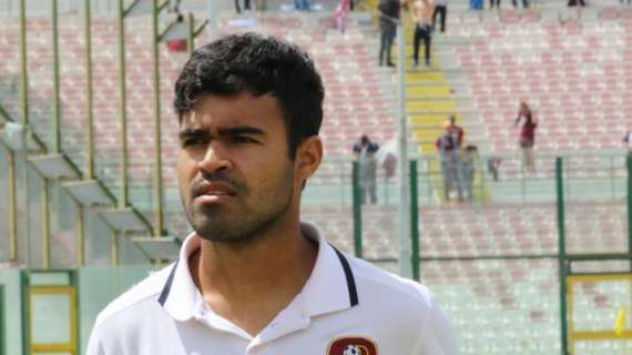 Il Perugia vuol regalare a Bisoli un attaccante brasiliano appena svincolato: ma c'è l'asta per lui