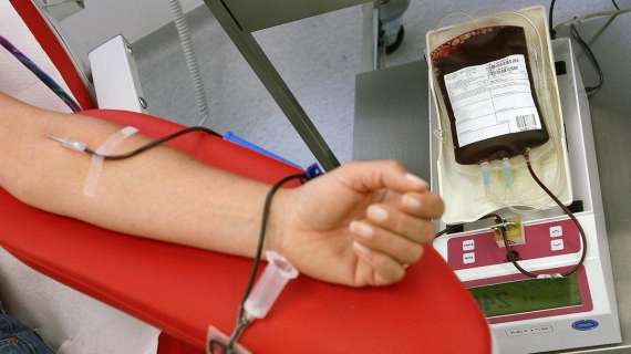 Donazioni di sangue in calo: la Fidas e l'Avis in campo per farle crescere 