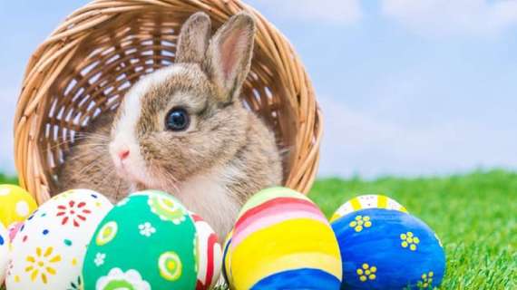 Pasqua con i tuoi... E del resto non si potrà fare diversamente
