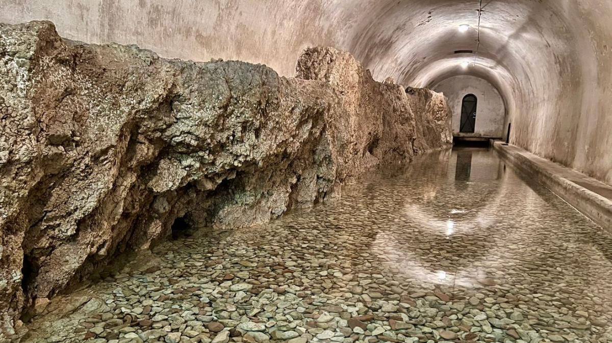 La Vus ha celebrato la "Giornata Mondiale dell'Acqua" con una visita guidata alla sorgente “Le Vene del Tempio”