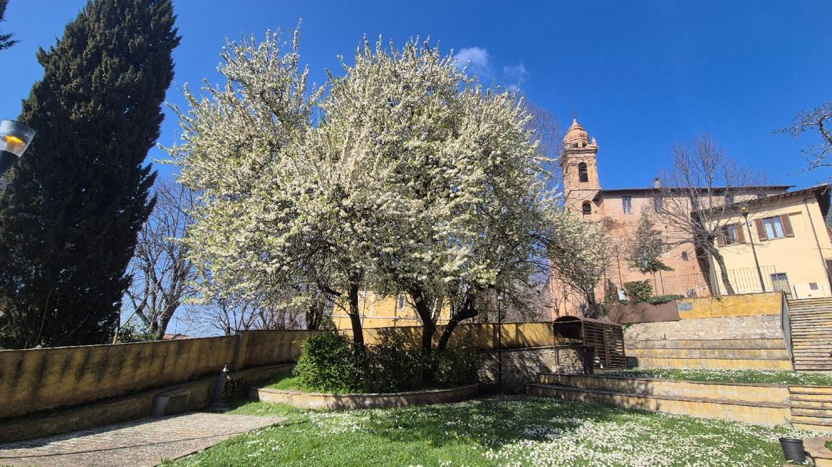 Sabato a Perugia in programma l'inaugurazione dei Giardini Adisu a Perugia