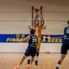 Serie B - I Fiorenzuola Bees tornano alla vittoria su Capo d'Orlando
