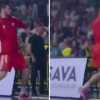 ABA League, è caos: squalifica di 3 giornate a Nikola Kalinic, la Stella Rossa minaccia di lasciare