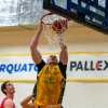 Serie B - I Fiorenzuola Bees ospitano Rucker San Vendemiano al PalArquato 