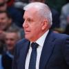 Multa al Partizan per il comportamento dei tifosi con l'Olimpia Milano, il richiamo di Obradović