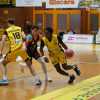 Serie B - Allianz San Severo di scena al PalaLeombroni di Chieti