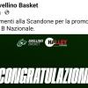 Scandone Avellino e Avellino Basket, prove per una futura unione?