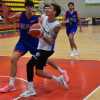 Serie B - Con Molinella il primo scrimmage stagionale per Olimpia Castello