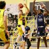 Serie B - La marcia continua: i Lions Bisceglie battono anche Civitanova