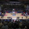 LIVE LBA | Vanoli Cremona vs Pallacanestro Trieste: dove in TV, preview, diretta