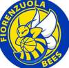 Serie B - Gianluigi Galetti non è più Head Coach dei Fiorenzuola Bees