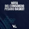A2 - Nota del Consorzio Pesaro Basket, le parole di Arceci