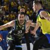 Serie B - Faenza: le partite casalinghe del play off con Vigevano al PalaBubani