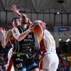 Al PalaTiziano impresa della Tema Sinergie Faenza sulla Virtus Roma GVM 1960