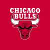 NBA - Chicago Bulls: battuta d'arresto sul recupero di Patrick Williams