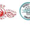 A2 F - Comunicato congiunto Basket Girls Ancona-Basket 2000 Senigallia