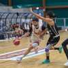 Serie B - Martino Criconia nuovo giocatore UCC Assigeco Piacenza