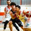 Serie B - La Logimatic Ozzano piega anche Reggio Basket 2000