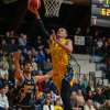 Serie B - Fiorenzuola Bees, risolto il contratto con Ozren Pavlovic