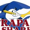Trapani Shark: avviso a nuove società che intendessero utilizzare il PalaShark