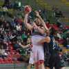 Serie B - Basketball Club Lucca conferma Jacopo Pierini