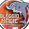 Serie B - Regular season ultimo atto casalingo: Oleggio Squali contro Gazzada