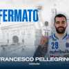 UFFICIALE LBA - Nutribullet Treviso conferma Francesco Pellegrino per il 2025/26