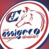 Serie B - Assigeco Piacenza esonera coach Humberto Manzo