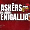 Serie B - Di misura i Baskèrs Forlimpopoli cedono in casa alla Goldengas Senigallia