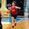 A2 F - Basket Girls Ancona al via. Al Palascherma arriva Vigarano