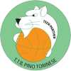 A2 F - Torino Teen Basket rinuncia a partecipare al campionato
