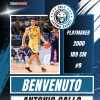 Serie B - Benacquista Latina, dalla Serie A2 arriva Antonio Gallo