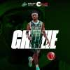 Avellino Basket esce dal contratto di Blake Francis