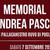 A2 - Hdl Nardò sfida Ruvo di Puglia nel Memorial "Andrea Pasca"